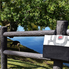 初めてのブログ